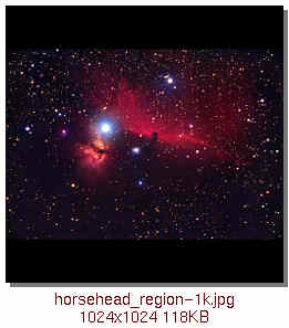 [Horsehead Region]