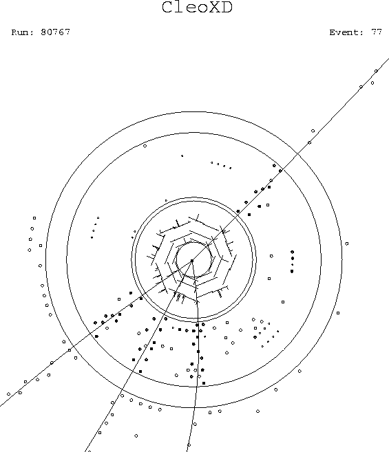 First hadronic event