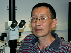 Zhongwu Wang