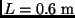 $L = 0.6 \; {\rm m}$