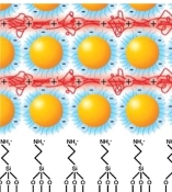 DNA-AuNP-multilayers