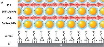 plasmonic mutilayers