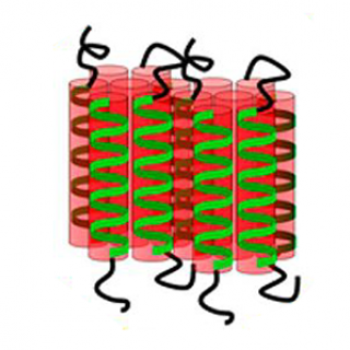 bioinspired membranes