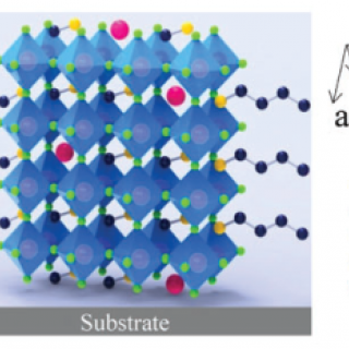 2D organic perovskite