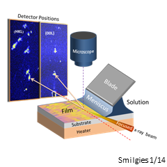 shear coating