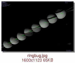 [ringbug]
